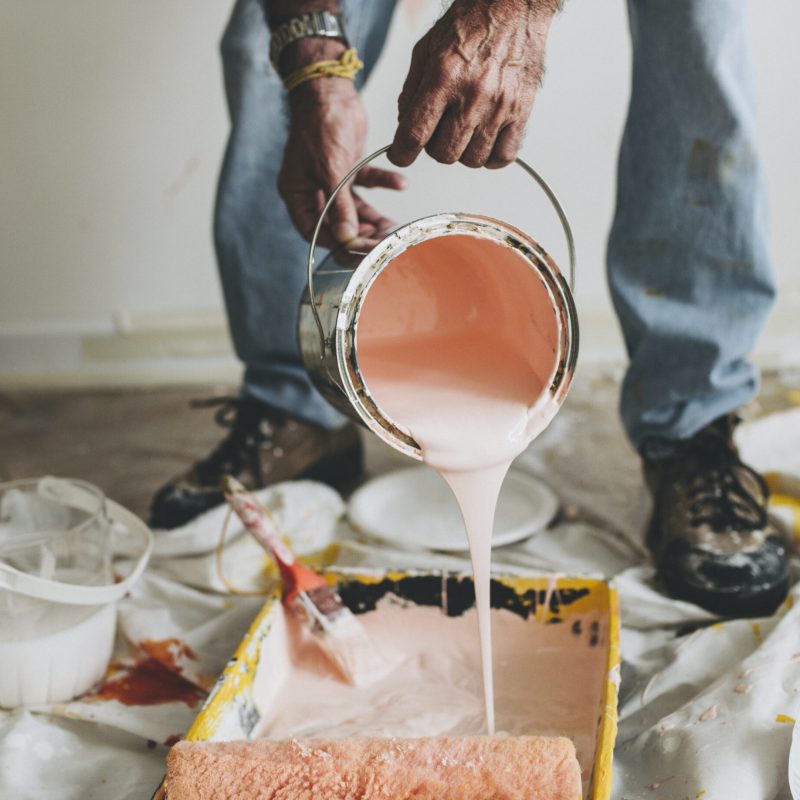 painting the walls pink painting the walls pink